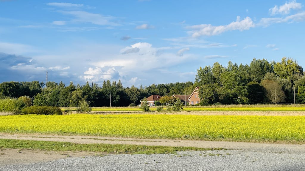 Big field of grassy green property and scenic sky establishing the need to remove an easement on the property line.